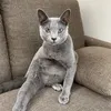 そら捜索中🐈‍⬛