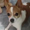 shelly_raawr