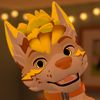 thatwolfkoda