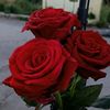 user83442066613780