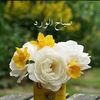 faten.masri6