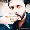 fazan033285