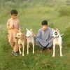 jori.brand.di