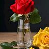 ayaan.qurux84