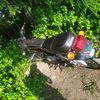 illa.balaji