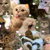 user1621911152495