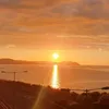 harry_19034
