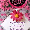 zenat52.egyptgmail