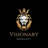 Visionarymindshift__