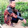 user8444284859403