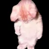 deptraithidasao
