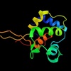 phospholipase