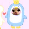 virr_04