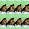 ninnonly3___
