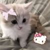 susian_riki