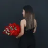 trixxy_dims