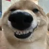 kontozeojzk
