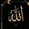 user7811487279226
