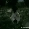 hihi55255