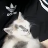 mmrrkr