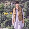 gull.zaib145
