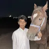 ma_pilq