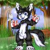 furball3209