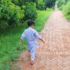 raees.shaheer