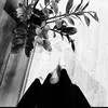 l.v_l1