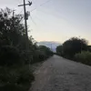 daniel.cisneros777