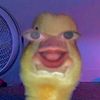esmer_bombaaa.a