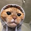 mariaiaiaiaiacccccc