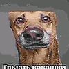 ewertaq