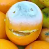 mouldyorangeskin