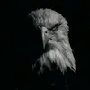 igor.costa519