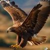 sabreen.elsayed6