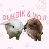DukDik & Moji