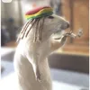 ugo.mbaoma