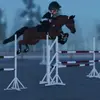 equestrienlakeacc