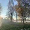faimah729