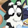 bluey_heeler04