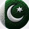 shahroz.jutt858