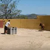 ivangadeaa13