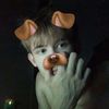 leighlyn.15
