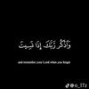 roro557866