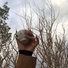 moonaarr7