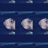 matchlatee_girlss