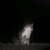 ara.._okok