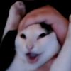 papafrita12377