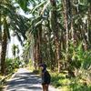 bayohasibuan429